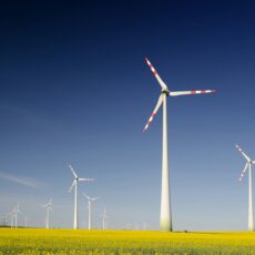 State capacity and varieties of climate policy